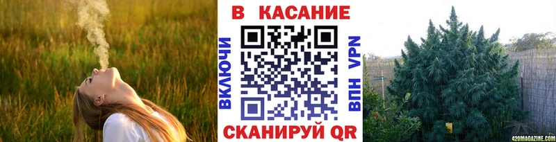 Купить наркотики цена Всеволожск ГАШИШ  мега tor  МЕФ  Канабис 