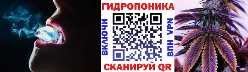 Конопля индика Всеволожск